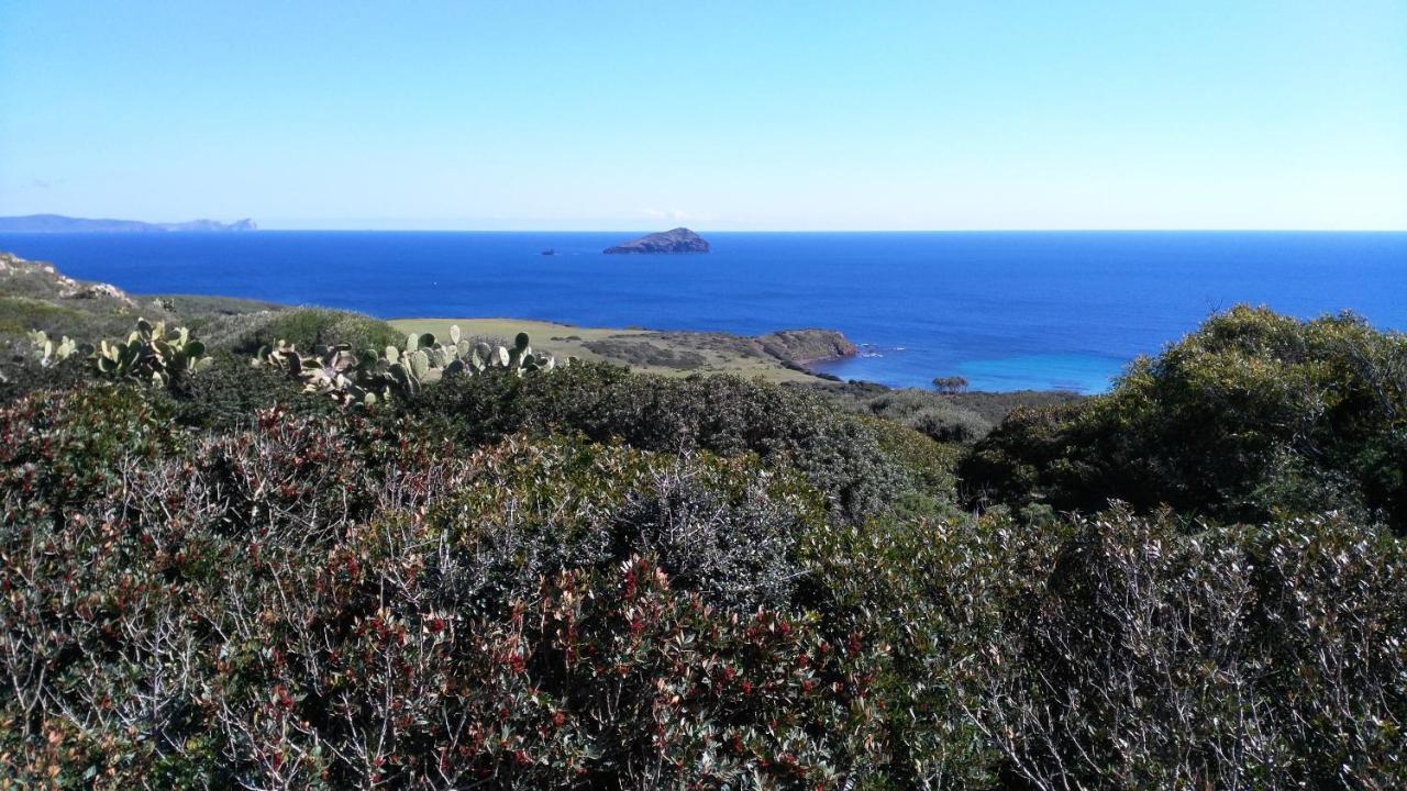 B&B Glamping Semaforo Capo Sperone Sant'Antioco Bagian luar foto